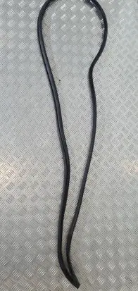 Mitsubishi L200 Front door rubber seal