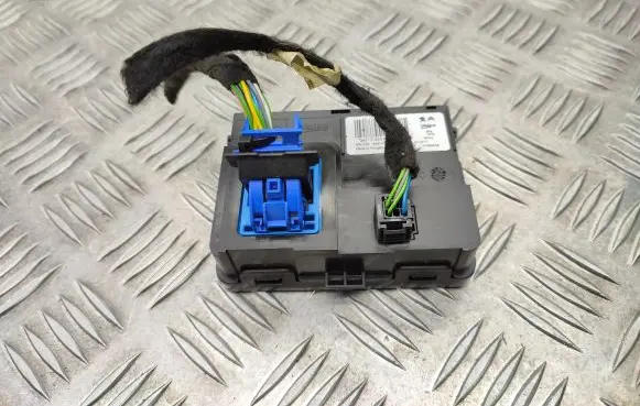 Peugeot 308 Other control units/modules 9811039380