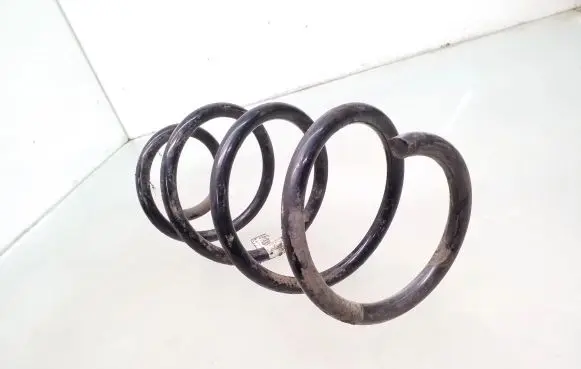 Front coil spring