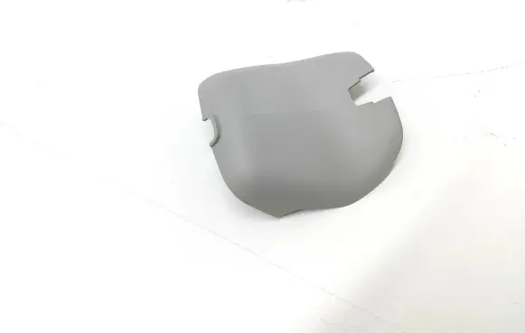 Renault Laguna III Rearview mirror trim 8200030803