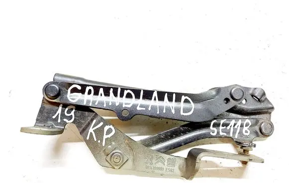 Opel Grandland X Engine bonnet/hood hinges 9814189880