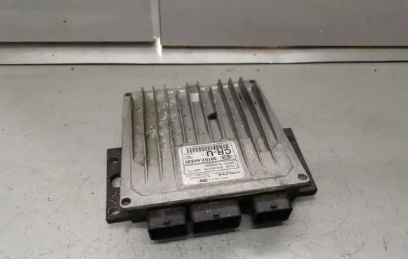 KIA Carnival Engine control unit/module 391024X520