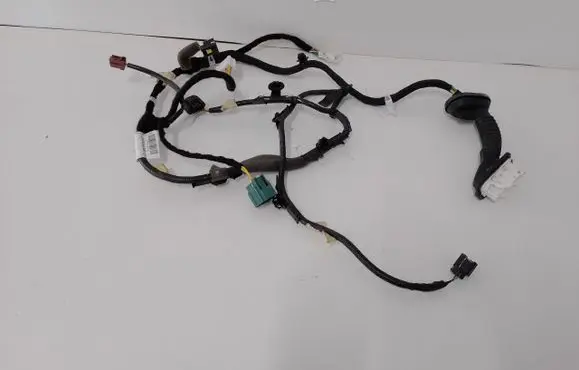 Front door wiring loom