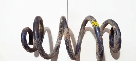 Nissan X-Trail T31 Rear coil spring