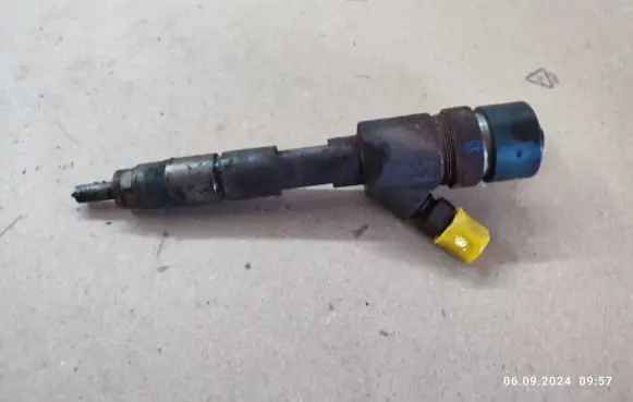 Renault Megane II Fuel injector 0445110230