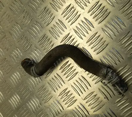 Audi Q8 Engine coolant pipe/hose 4KE145947G