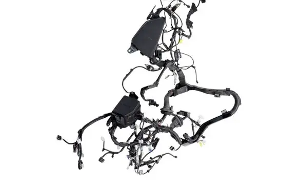 Toyota RAV 4 (XA50) Engine installation wiring loom 821114AW80