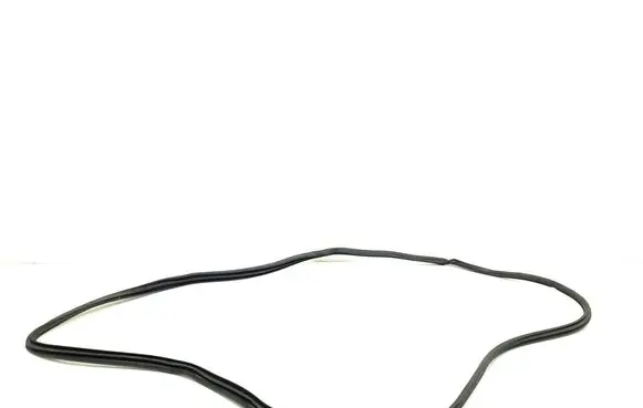 Toyota Verso Front door rubber seal 623110F020