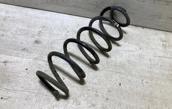 Rear coil spring