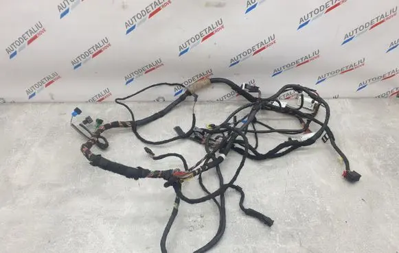 BMW X1 F48 F49 Panel wiring 9384558 9384550