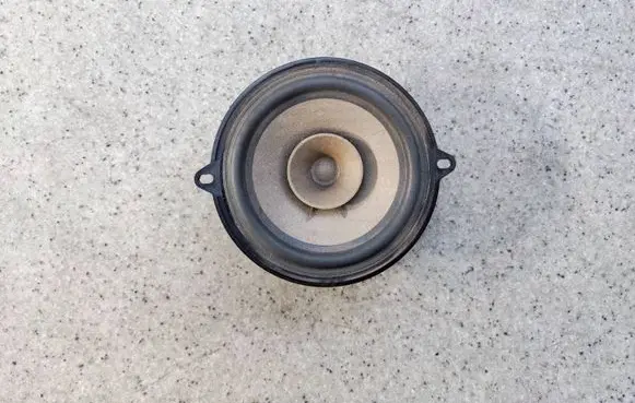 Dacia Dokker Front door speaker 