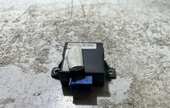 KIA Sorento Other control units/modules 956003E300
