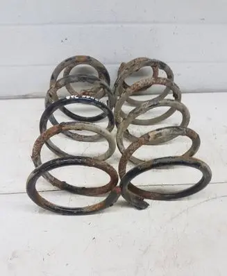 Rear coil spring