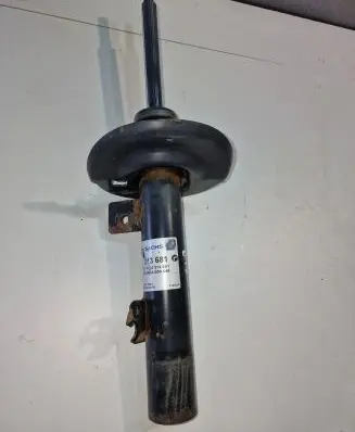 Peugeot 207 Front shock absorber/damper 313681 824903008546