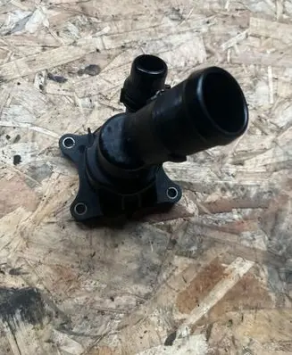Thermostat/thermostat housing