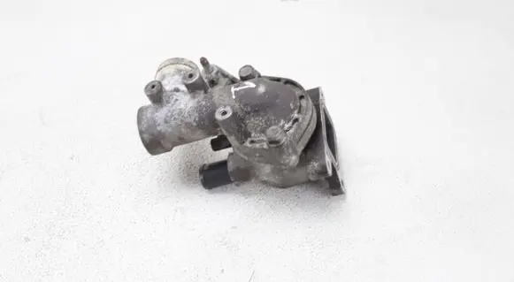 Thermostat/thermostat housing
