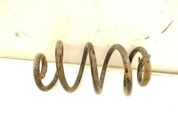 Rear coil spring