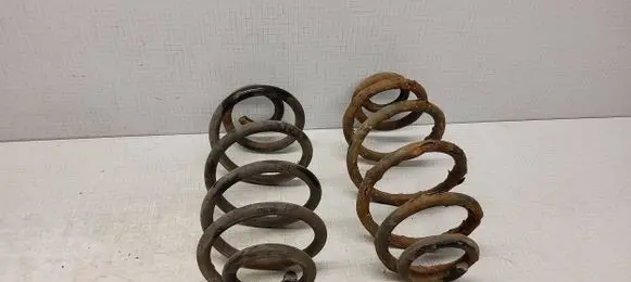 Opel Insignia A Rear coil spring