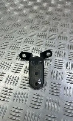 KIA Sportage Rear door lower hinge