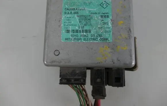 Renault Clio II Power steering control unit/module 8200222352