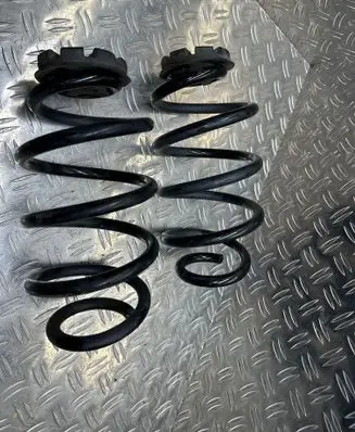 Rear coil spring