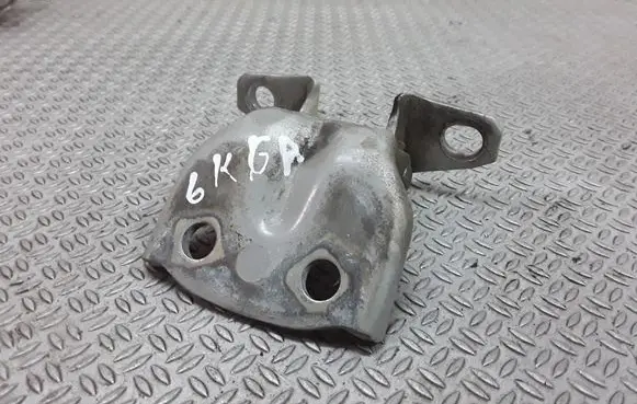 Hyundai Santa Fe Rear door lower hinge