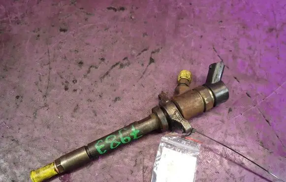 Citroen C4 I Fuel injector 