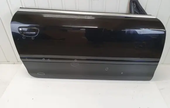 Audi A4 S4 B7 8E 8H Front door