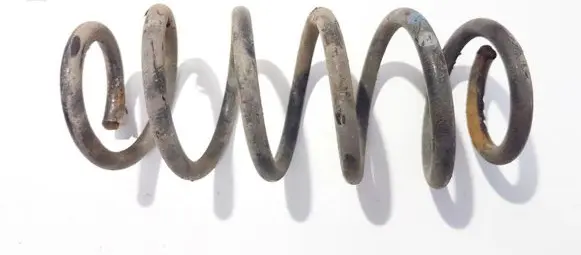 Rear coil spring