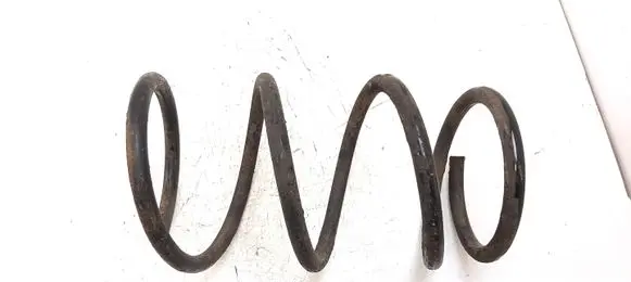 Front coil spring