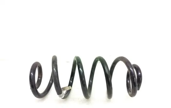 Rear coil spring