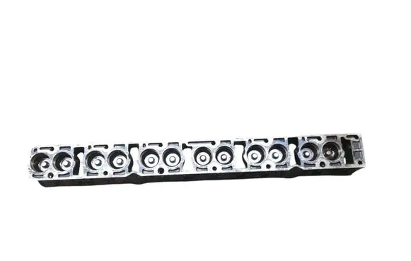 BMW 3 E46 Engine head 1748042