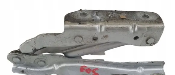 Volkswagen Eos Engine bonnet/hood hinges 1Q0823302C