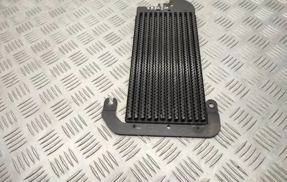Renault Trafic III (X82) Fuel cooler (radiator) 175104049R