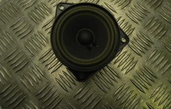 Porsche Cayenne (92A) Front door high frequency speaker 7PP035415E R1687