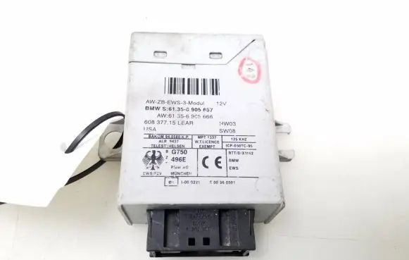 BMW 3 E46 Immobilizer control unit/module 6905667
