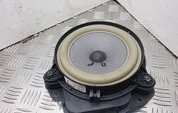 Rear door speaker