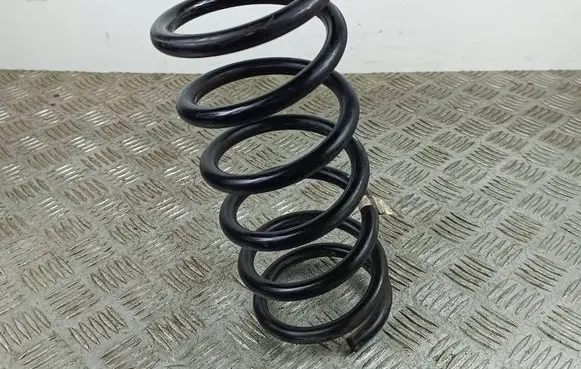 Rear coil spring