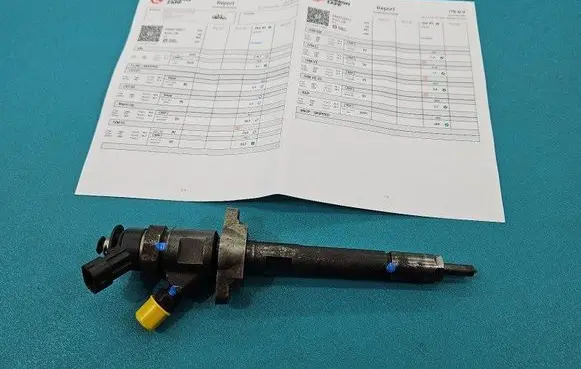 Citroen Berlingo Fuel injector 0445110311 IMPRK1423485