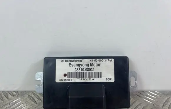 SsangYong Rexton Other control units/modules 3851008031