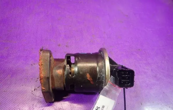 EGR valve