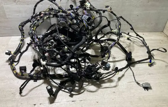 Ford Focus Right interior wiring harness nx6t90 RD38033
