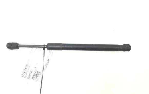 Tailgate strut