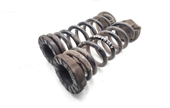 Rear coil spring