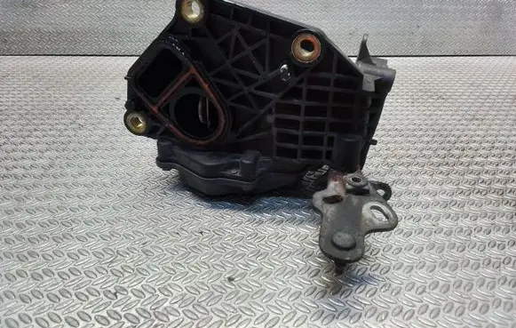 Renault Trafic III (X82) Throttle valve A2C53350932