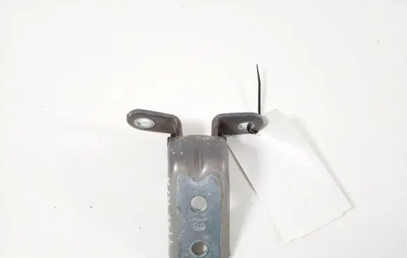 Hyundai Kona I Front door lower hinge 