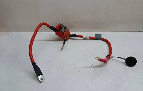 BMW 3 F30 F35 F31 Positive cable (battery) 9259424