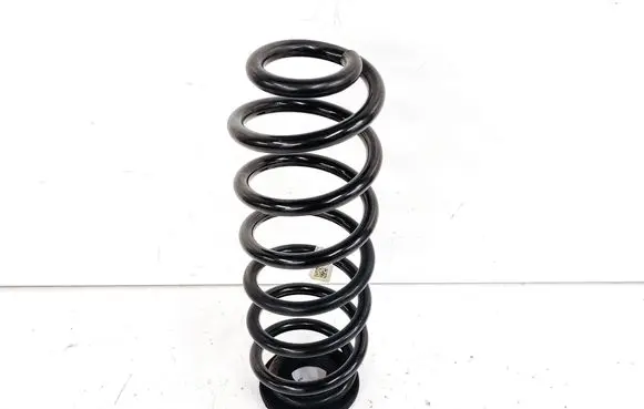 Rear coil spring