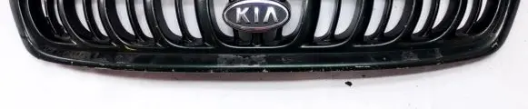 KIA Carnival Front grill
