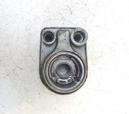 Mercedes-Benz Citan W415 Engine oil radiator 8200923115